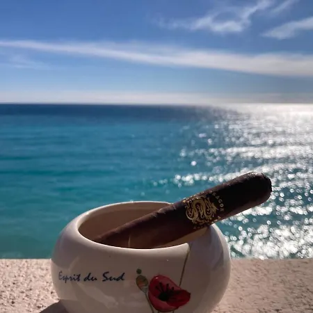 Bellevue Palace Apartment