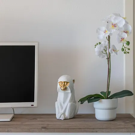 Bellevue Palace * 芒通